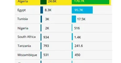 L'IGU classe l'Algérie leader en Afrique dans ce secteur.