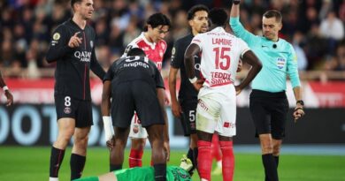 Ligue 1 : La Direction de l'arbitrage reconnaît la « faute grossière » de Camara