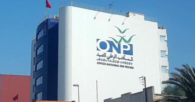 L'ONP valide son plan d'action pour 2026.