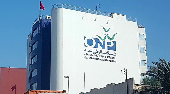 L'ONP valide son plan d'action pour 2026.