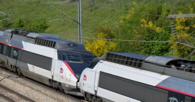 Maltraitance : Mère en garde à vue pour avoir frappé son fils de 6 ans dans le TGV