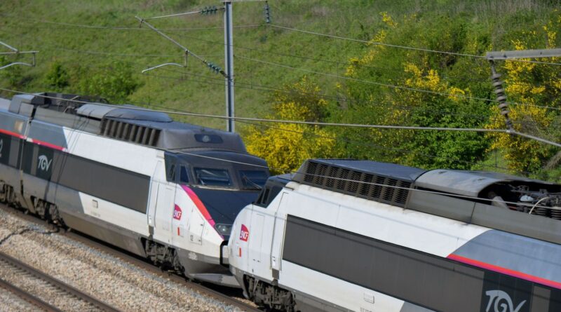 Maltraitance : Mère en garde à vue pour avoir frappé son fils de 6 ans dans le TGV