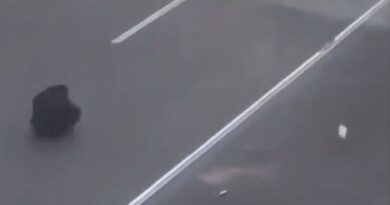 Manifestations en Iran : vidéo virale d'un homme face à la police