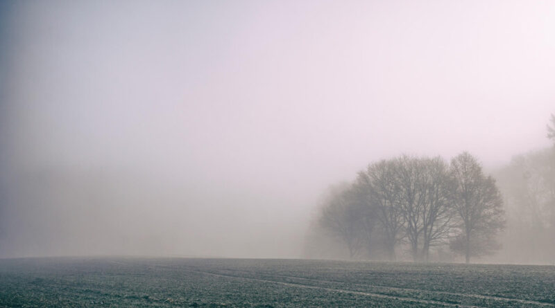 Météo : Alerte au brouillard en cours