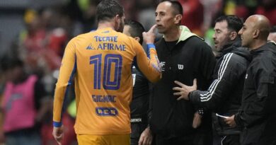 Mexique : André-Pierre Gignac attaqué par un supporter après son remplacement en finale