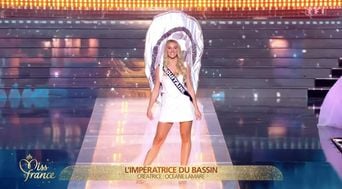 Miss France 2026 : Chute et costume huître lors des élections