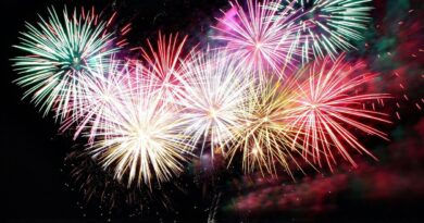 Moins de bruit et d'effets : dilemme des feux d'artifice du réveillon.