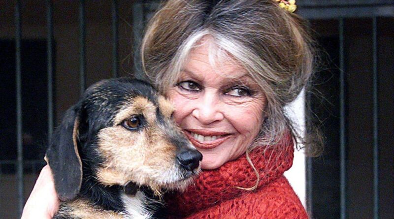 Mort de Brigitte Bardot : actrice, chanteuse et militante, quel souvenir ?