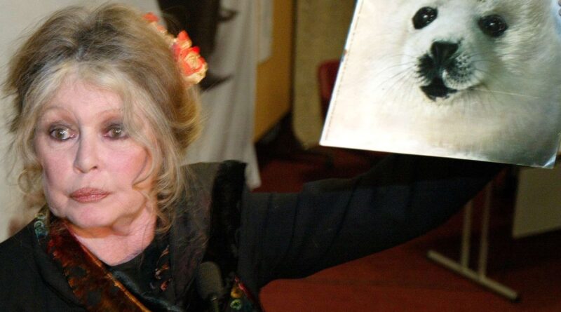 Mort de Brigitte Bardot : adieux au cinéma et défense des animaux