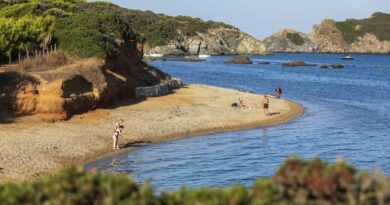 Mort de Brigitte Bardot : Enterrer chez soi ou hors d'un cimetière ?