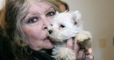 Mort de Brigitte Bardot : Quel avenir pour les animaux après son décès ?