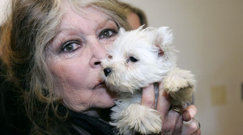 Mort de Brigitte Bardot : Quel avenir pour les animaux après son décès ?