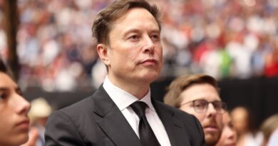 Musk critique la commission Doge : « peu de succès » et ne recommencerait pas Musk critique la commission Doge : « peu de succès » et ne recommencerait pas
