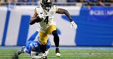 NFL : Un joueur des Steelers ne frappe pas un supporter pendant le match