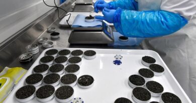 Noël : Les Français ne laissent pas les géants chinois du caviar les déstabiliser.