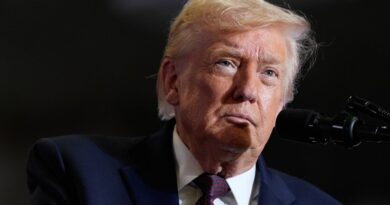 ONU : Russie et Chine réagissent au « comportement de cow-boy » de Trump sur le Venezuela