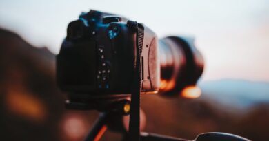 Onze élèves tunisiens récompensés à la rencontre régionale des arts.