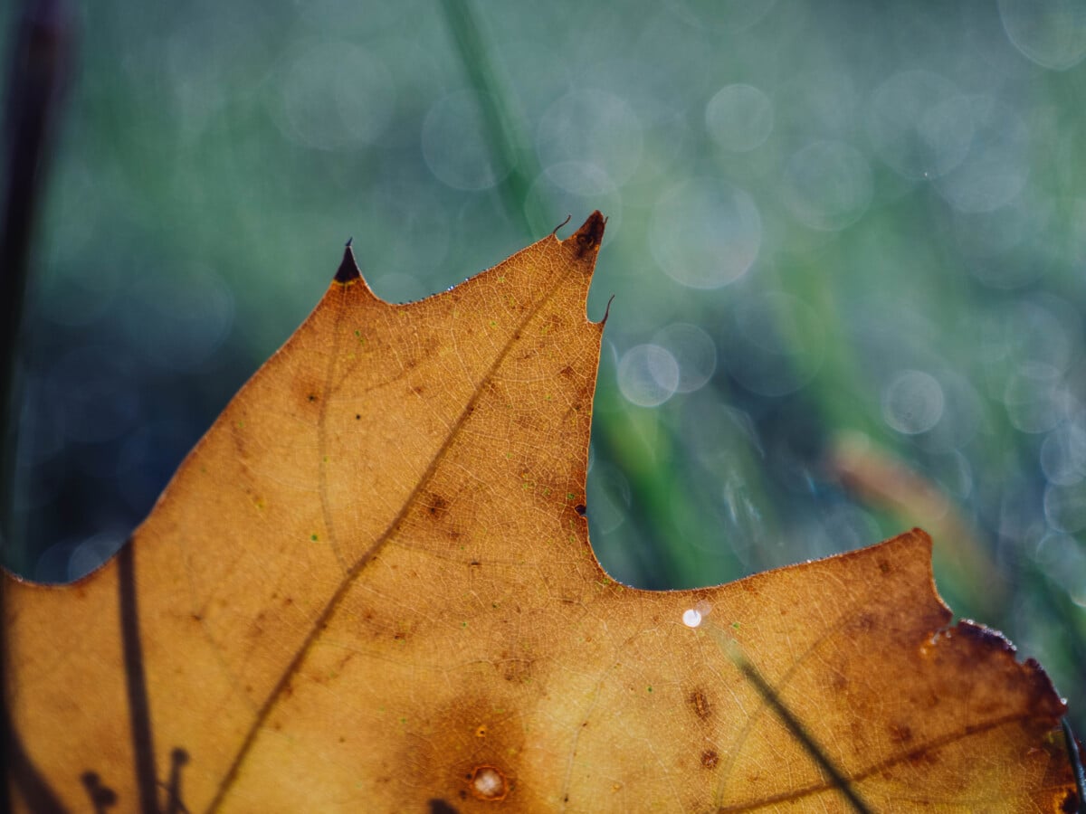 Dossier ouverture photo