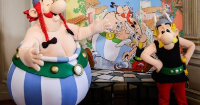Parc Astérix : un nouveau parc en Allemagne dans 5 ans.