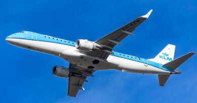 Piquée par des punaises de lit, une famille demande 200.000 dollars à la compagnie aérienne.