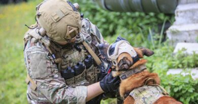 Pourquoi l'armée française ne manque-t-elle pas de vétérinaires ?