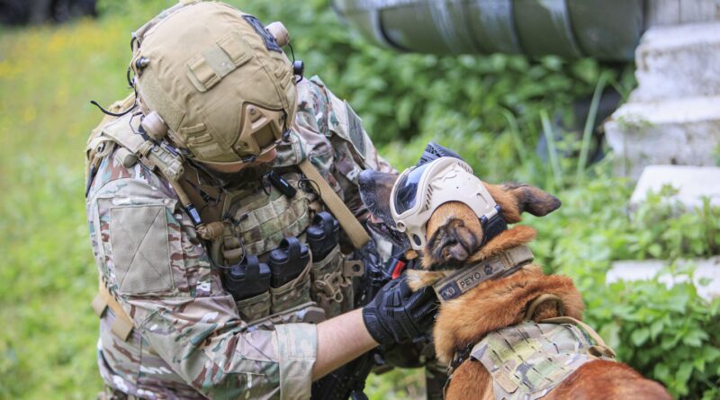 Pourquoi l'armée française ne manque-t-elle pas de vétérinaires ?