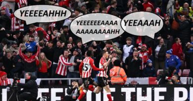 Premier League : Le « Yeeeaaaah » des supporteurs anglais est-il le bruit le plus satisfaisant ?