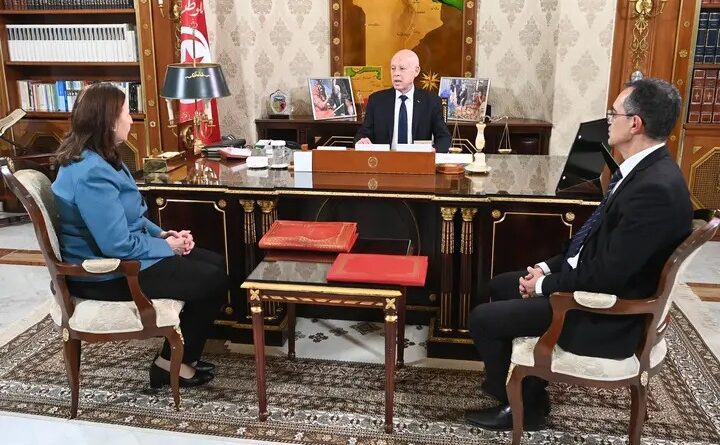 Récolte record d'olives : mesures urgentes demandées par le Président pour les agriculteurs