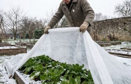 Revivez en images les 20 moments forts du sport en 2025