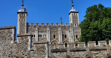 Royaume-Uni : Des militants s'attaquent aux joyaux de la couronne à Londres