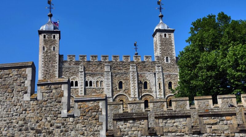 Royaume-Uni : Des militants s'attaquent aux joyaux de la couronne à Londres