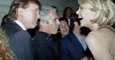 Scandale Epstein : Documents caviardés, photos retirées, Trump accusé d'étouffer.