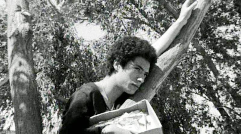 "Seuils interdits de Ridha Behi (1972) : fantasme ou fracture sociale ?"