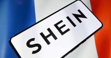 Shein ne ferme pas son site après l'affaire des poupées sexuelles