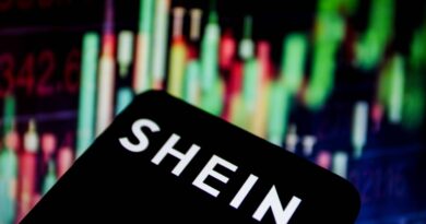 Shein : Suspension du site prévue le 19 décembre.