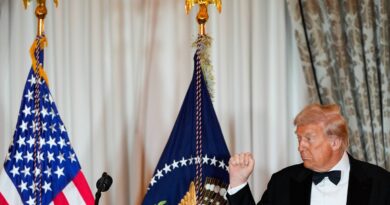 Stratégie de sécurité nationale des États-Unis : un document qui tance les Européens ?