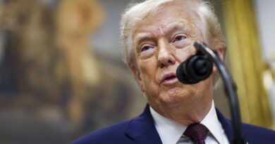 Syrie : L'administration Trump ne lance pas une offensive contre l'Etat islamique.