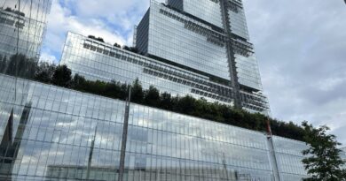 Terrorisme : « Le califat virtuel » et l'implication des mineurs dans des attaques.