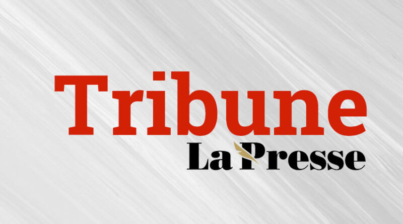 Tribune – 65 ans après : retour sur les premiers Casques bleus tunisiens (1ère partie)