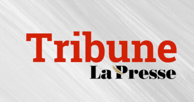 Tribune : Avantage fiscal accordé, son efficacité ne reste pas certaine