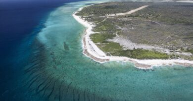 Tromelin, Clipperton, Hunter et Matthew : îlots français au statut litigieux