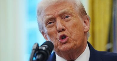 Trump aurait créé une maladie pour discréditer ses adversaires politiques.