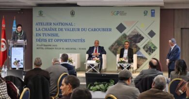 Tunisie : la filière du caroubier ne doit pas être négligée.