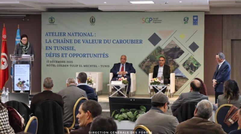 Tunisie : la filière du caroubier ne doit pas être négligée.