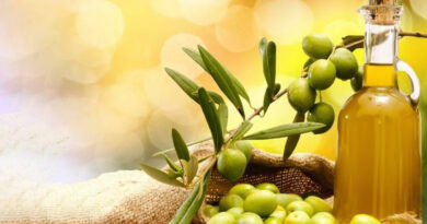 Tunisie : L'huile d'olive, un atout géopolitique essentiel.