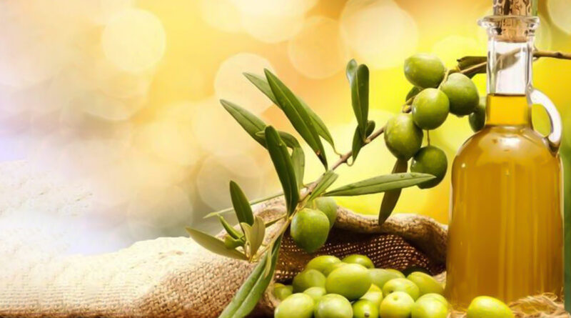 Tunisie : L'huile d'olive, un atout géopolitique essentiel.