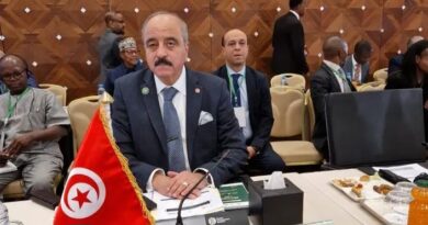 Tunisie : Nafti prône une diplomatie préventive active en Afrique
