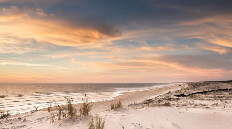 TunSea alerte sur le labourage des plages et ses conséquences écologiques.