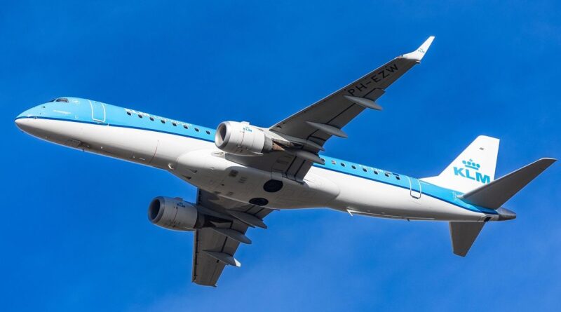 Un énorme rat découvert par des passagers dans un avion.