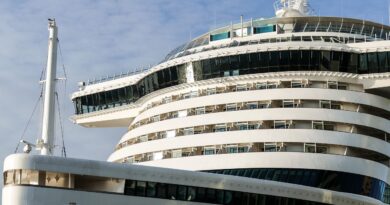 Un navire de croisière s'échoue deux mois après la mort d'une passagère oubliée.